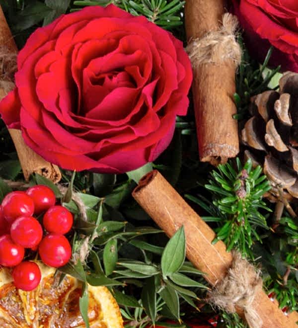 Kokinalar K�rm�z� G�ller Kozalaklar