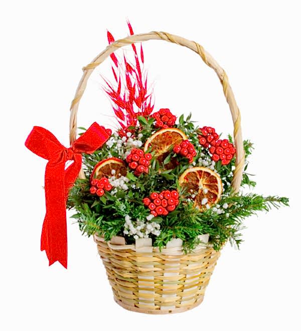 Sepette Y�lba�� Kokinalar�