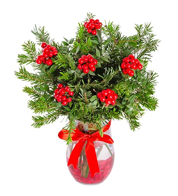 Vazoda Kokina Y�lba�� �i�e�i