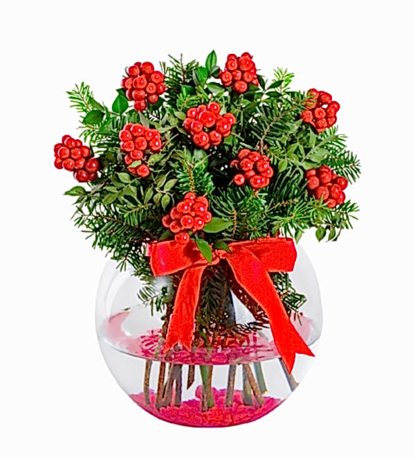 Fanus Vazoda Kokina Y�lba�� �i�e�i