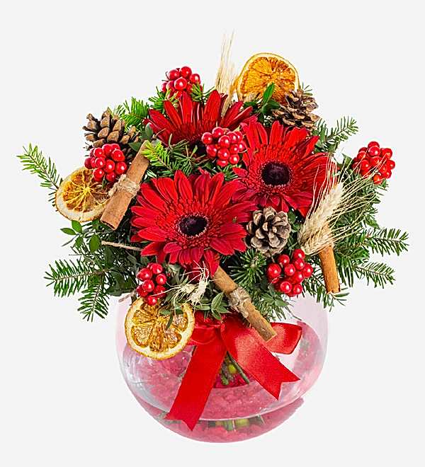 Yeni Y�l �i�e�i Kokina ve Gerbera