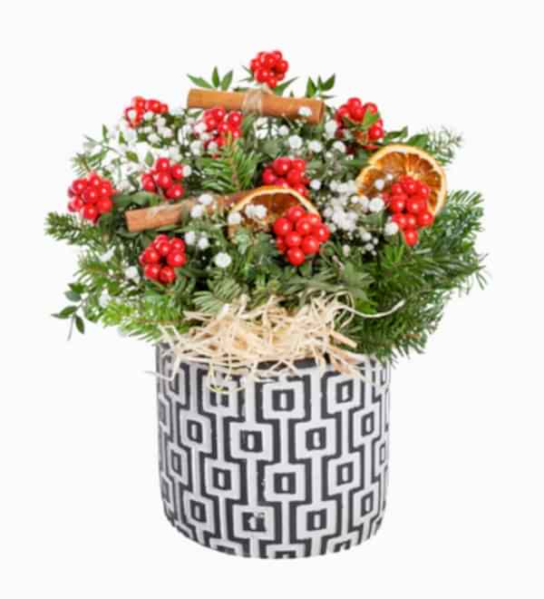 Kare Desenli Saks�da Y�lba�� Kokinalar�