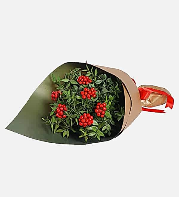 Kokinal� Y�lba�� Buketi