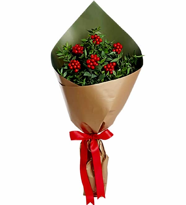 Kokinal� Y�lba�� Buketi