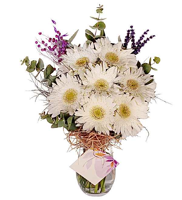 Beyaz Gerbera Vazosu