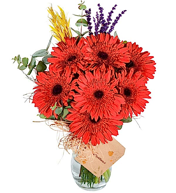 K�rm�z� Gerbera Vazosu