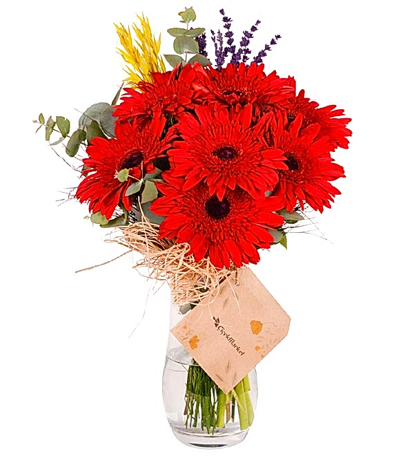 K�rm�z� Gerbera Vazosu