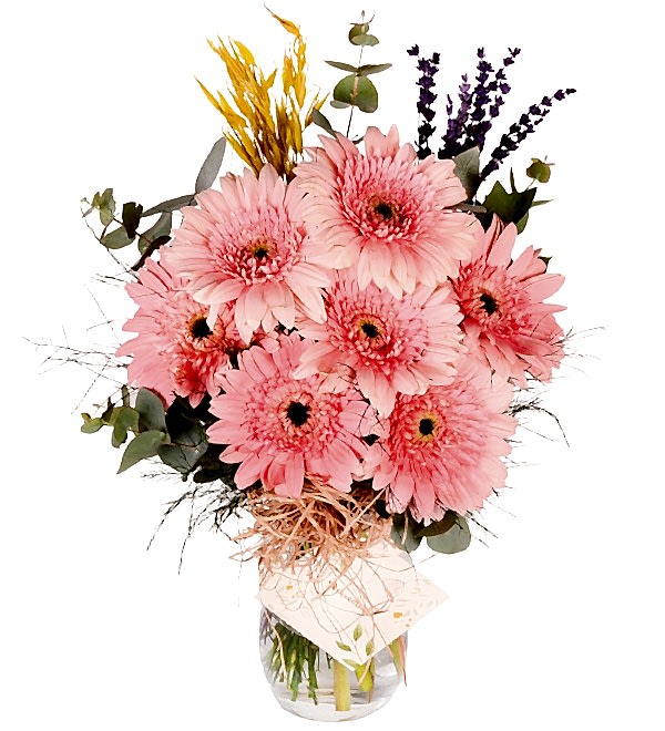 Pembe Gerbera Vazosu