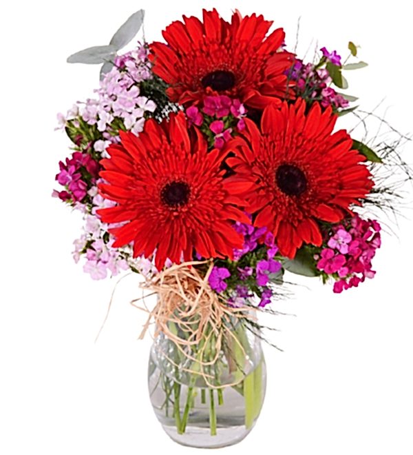 Vazoda H�sn�yusuf K�rm�z� Gerbera