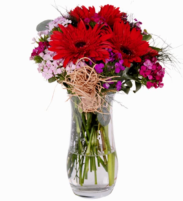 Vazoda H�sn�yusuf K�rm�z� Gerbera