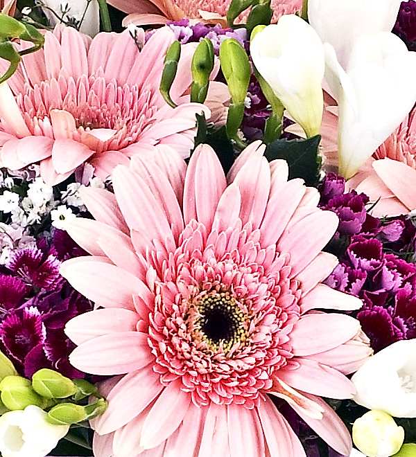 Vazoda Kar���k �i�ekler