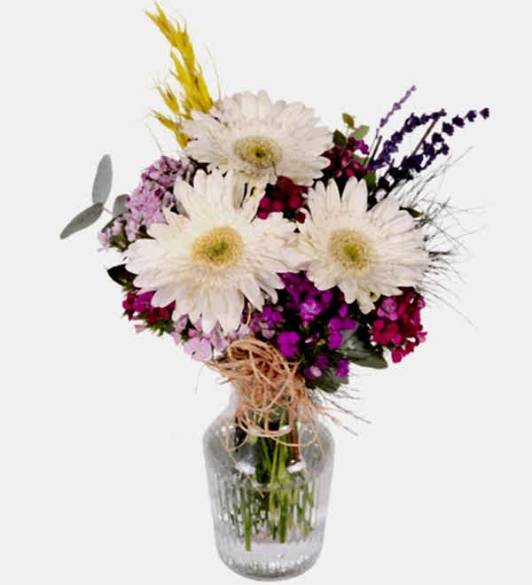 Vazoda H�sn�yusuf ve Beyaz Gerbera