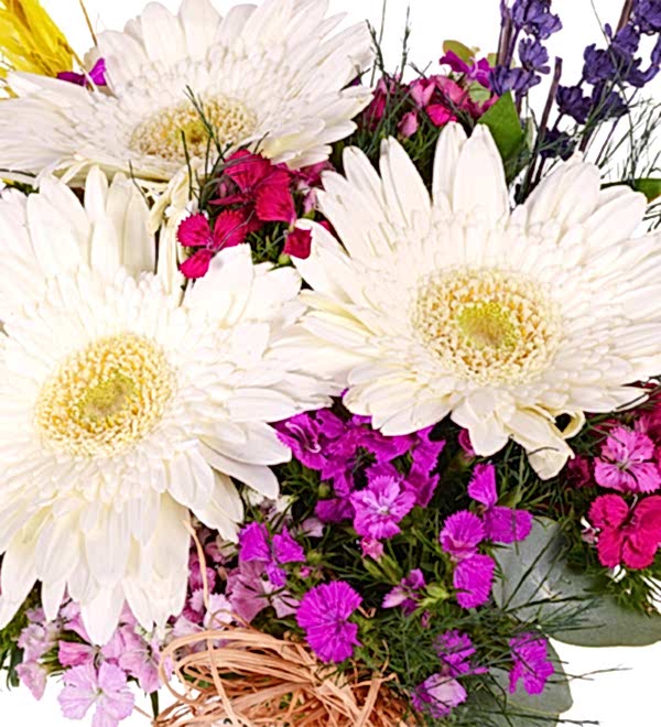 Vazoda H�sn�yusuf ve Beyaz Gerbera
