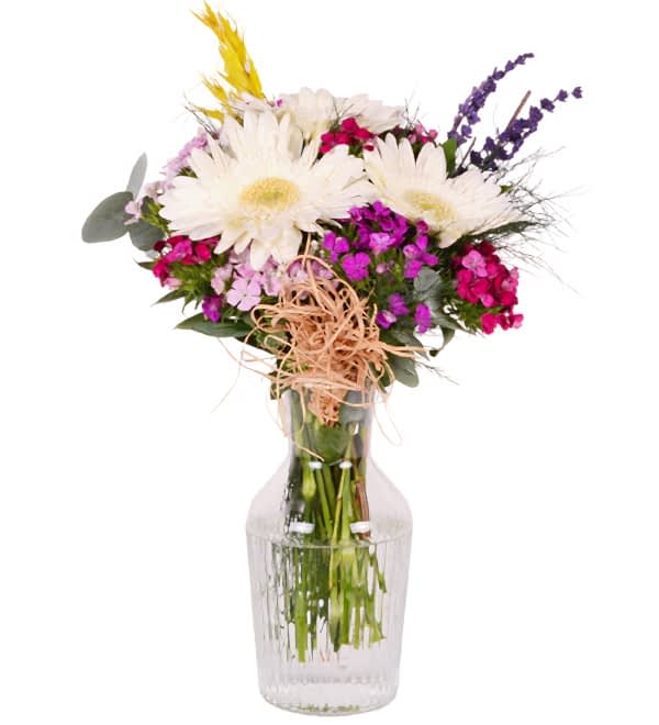 Vazoda H�sn�yusuf ve Beyaz Gerbera