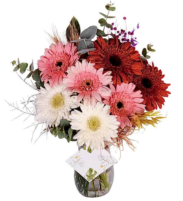 Renkli Gerbera Vazosu