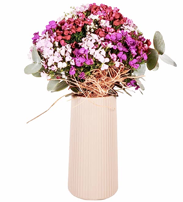 Mor D��ler Renkli H�sn�yusuflar