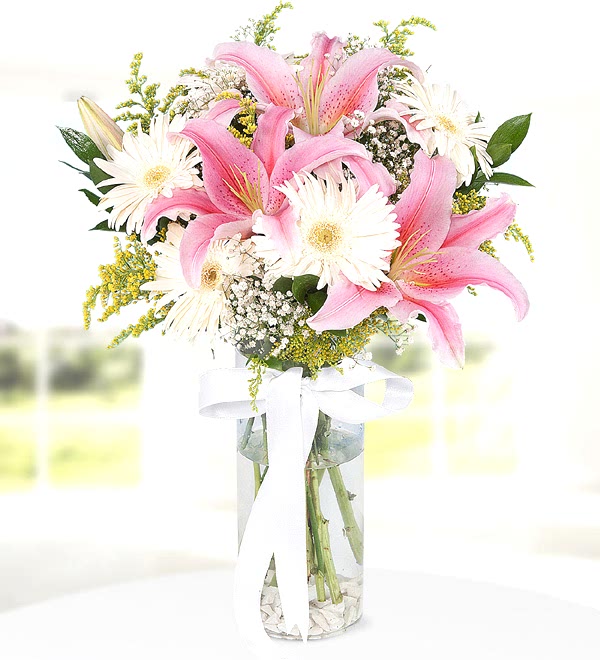 Pembe Lilyum Gerbera