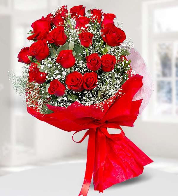 21 K�rm�z� G�l