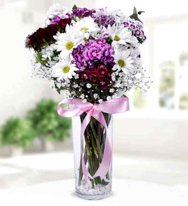 Beyaz Papatya H�sn�yusuf