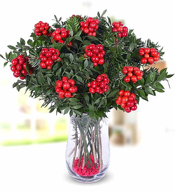 Y�lba�� �ans �i�e�i Kokinalar