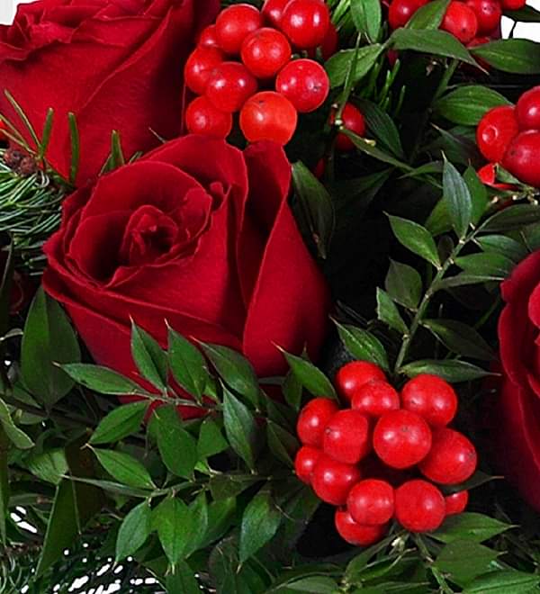 Vazoda K�rm�z� G�l ve Kokinalar