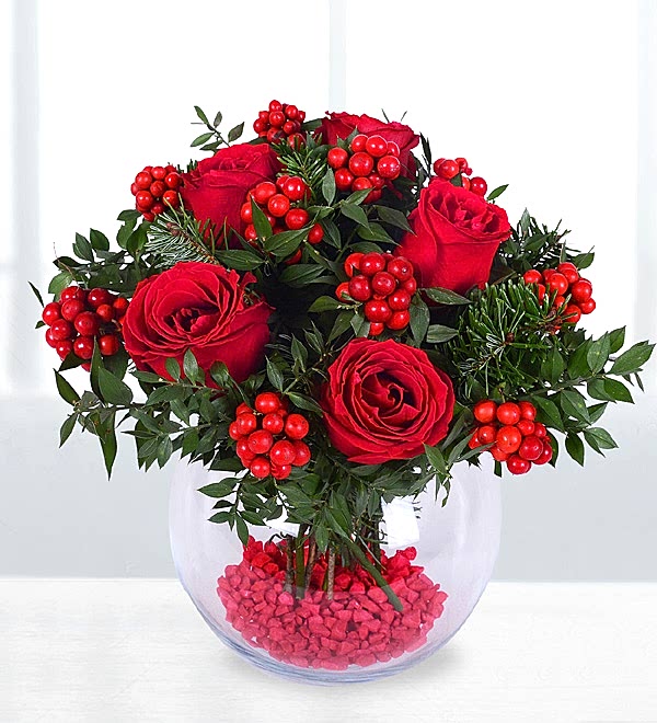 K�rm�z� G�ller ve Kokina �i�ekleri