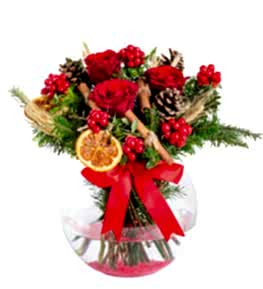 Kokinalar K�rm�z� G�ller Kozalaklar