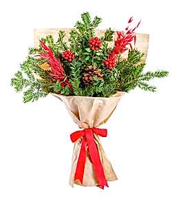 Kraft Ka��tta Kokina ve Kozalak