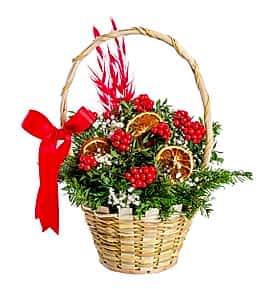 Sepette Y�lba�� Kokinalar�