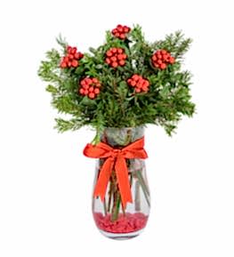 Vazoda Kokina Y�lba�� �i�e�i