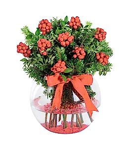 Fanus Vazoda Kokina Y�lba�� �i�e�i