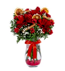 Vazoda Gerbera ve Kokina Y�lba�� �i�e�i