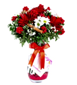 Vazoda Y�lba�� Kokinas� Gerbera Papatya