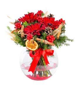 Yeni Y�l �i�e�i Kokina ve Gerbera