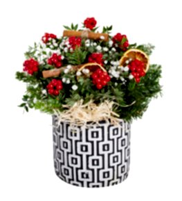 Kare Desenli Saks�da Y�lba�� Kokinalar�