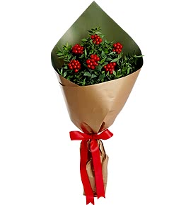 Kokinal� Y�lba�� Buketi