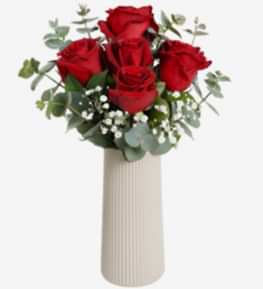 Bej Vazoda K�rm�z� G�ller