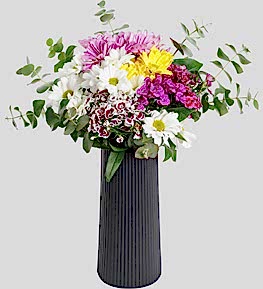 Siyah Vazoda H�sn�yusuf ve Papatya