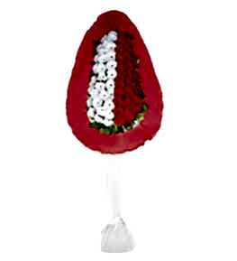 �ift Renkli Tek Katl� �elenk