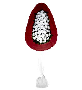 Beyaz Gerberalardan D���ne �elenk