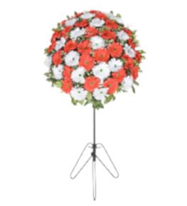 Beyaz K�rm�z� Gerbera D���n �i�ek Sepeti