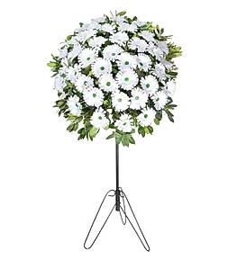 Beyaz Gerberalardan Ferforge �i�ek Sepeti