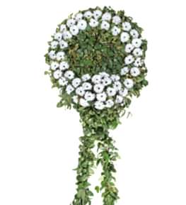 Beyaz Gerberalardan Cenaze ��in �elenk