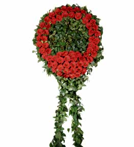 K�rm�z� Gerberalardan Cenaze ��in �elenk