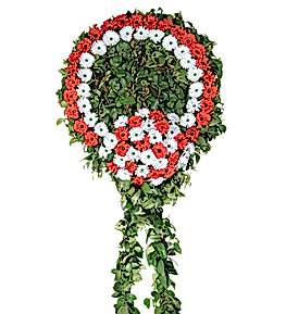 K�rm�z� Beyaz Gerberadan �elenk