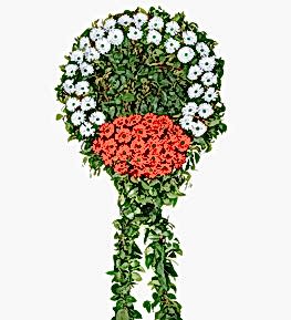 Modern Tasar�m �i�ek Sepeti