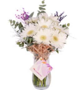 Beyaz Gerbera Vazosu
