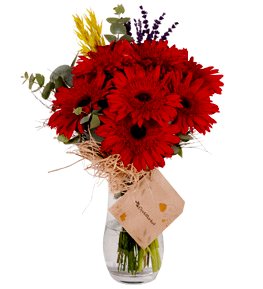 K�rm�z� Gerbera Vazosu