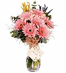 Pembe Gerbera Vazosu