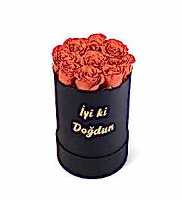 �yi Ki Do�dun Kutuda K�rm�z� G�l